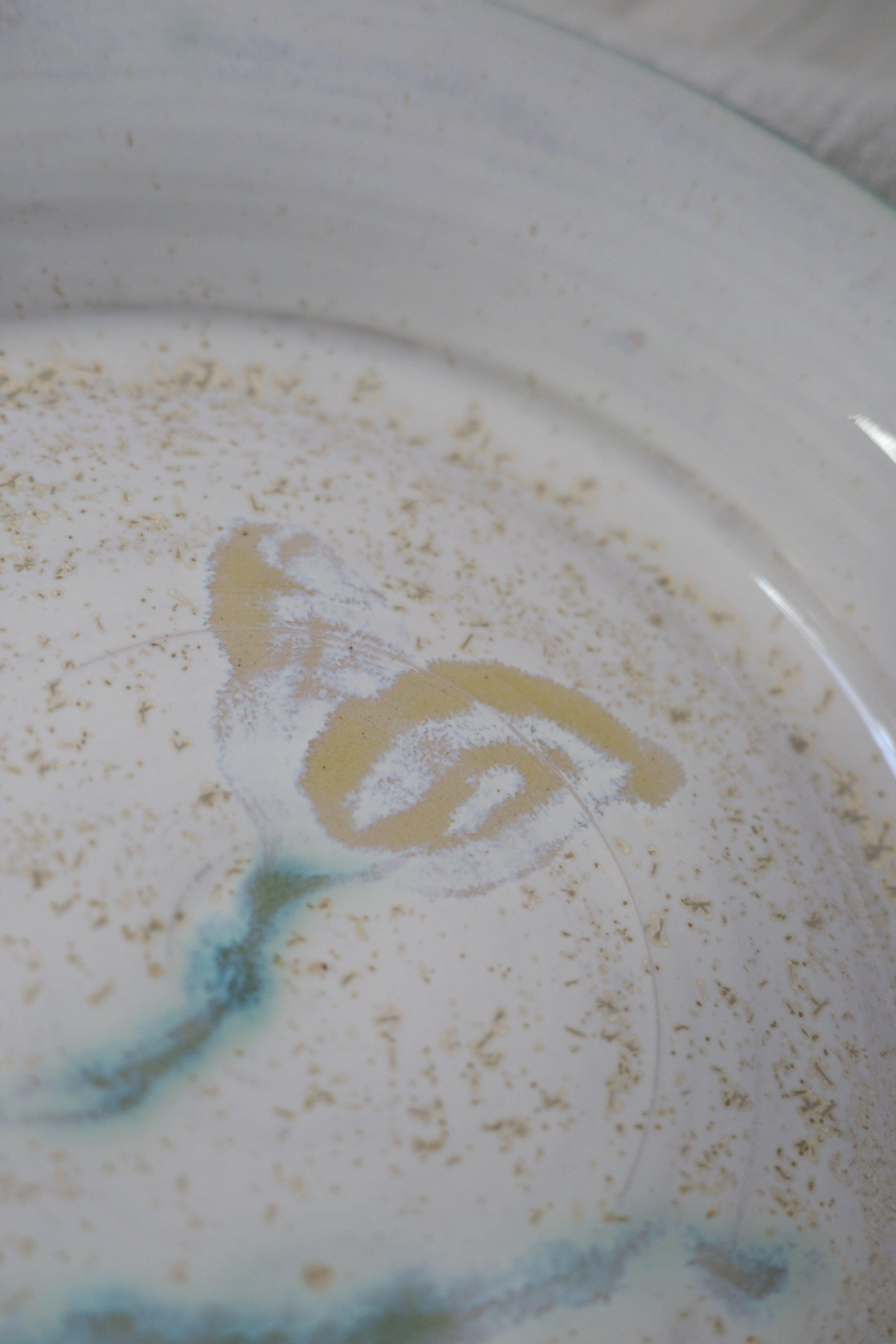 Plate called “sparkly pollen”