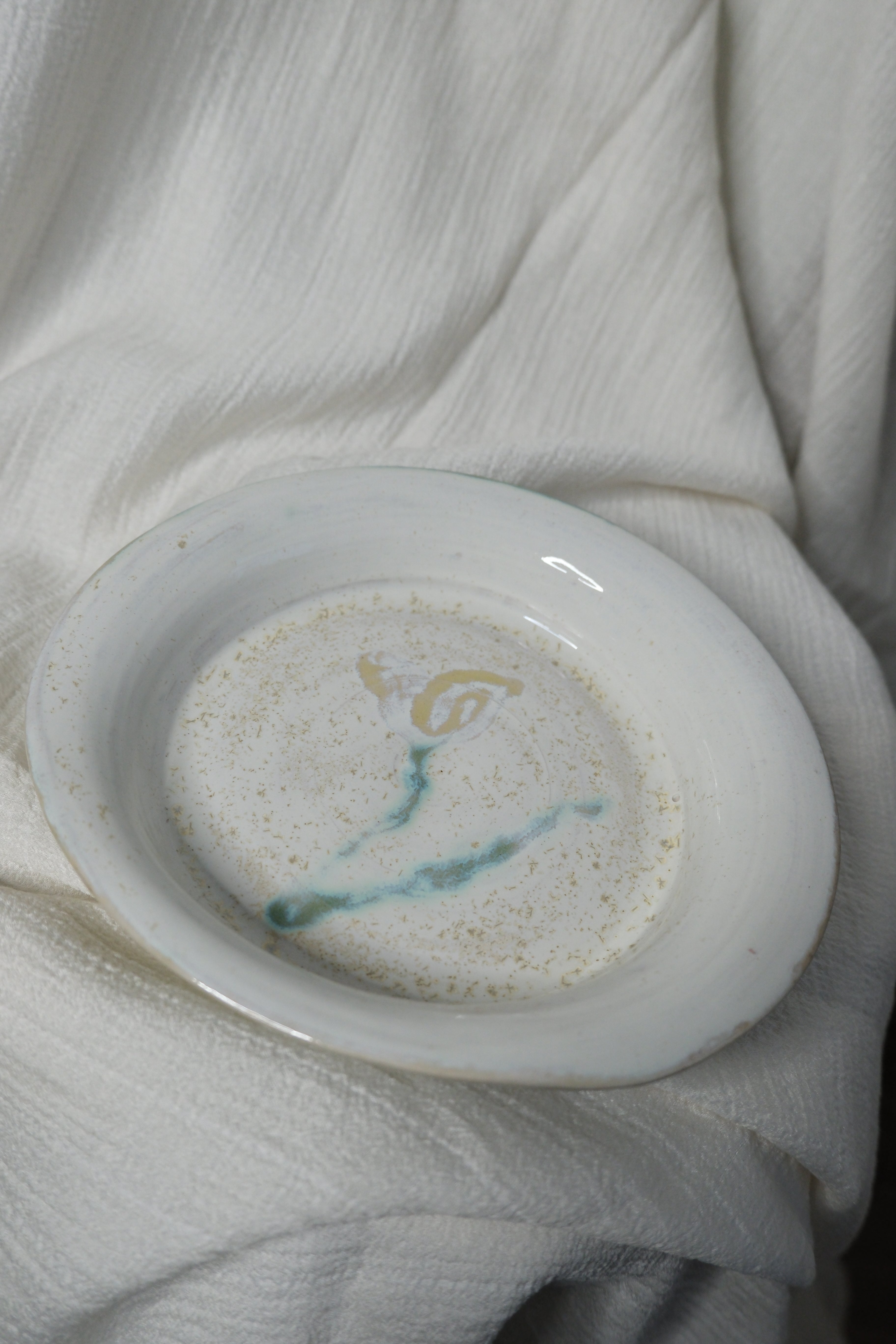 Plate called “sparkly pollen”