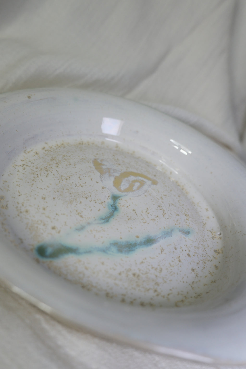 Plate called “sparkly pollen”