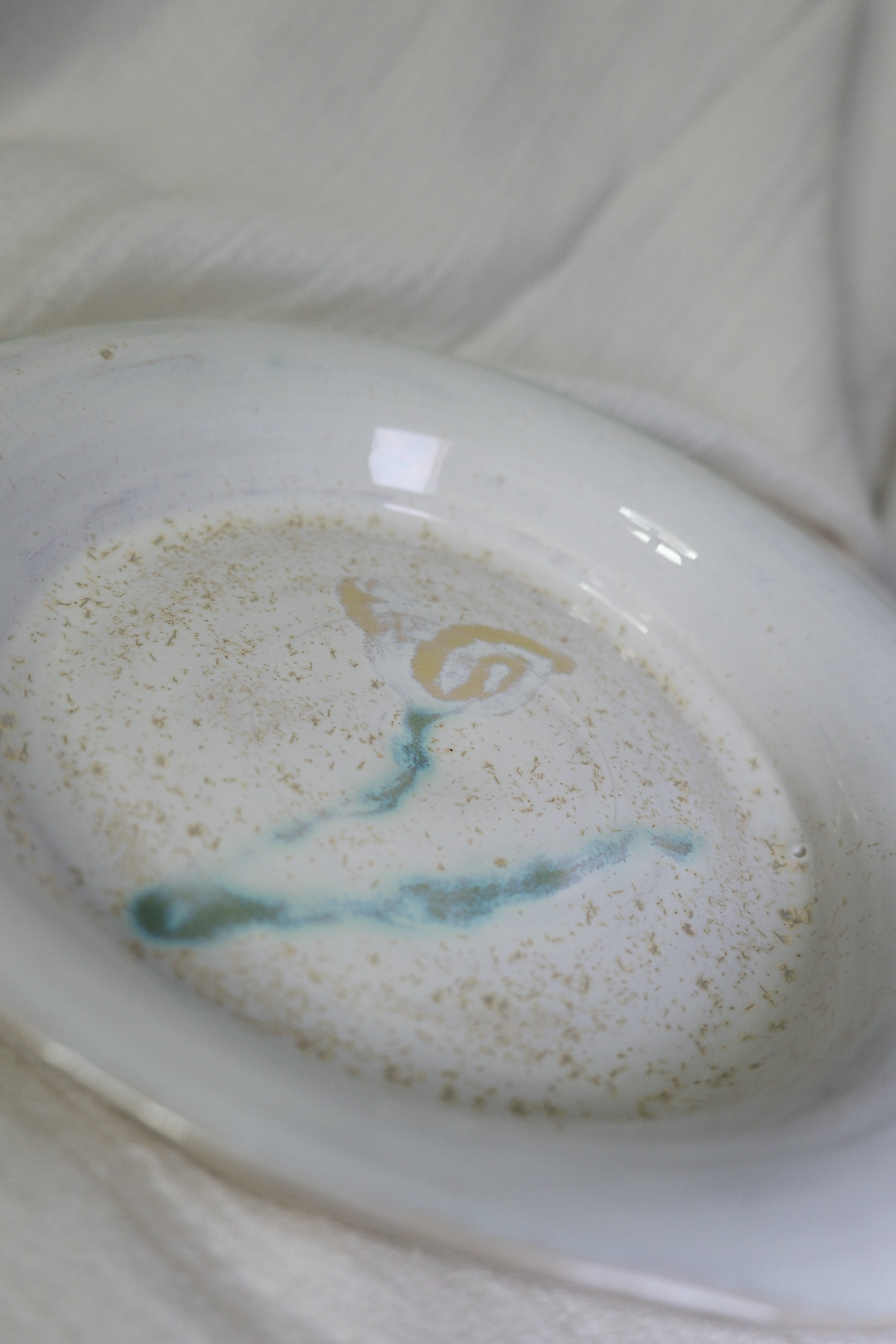 Plate called “sparkly pollen”