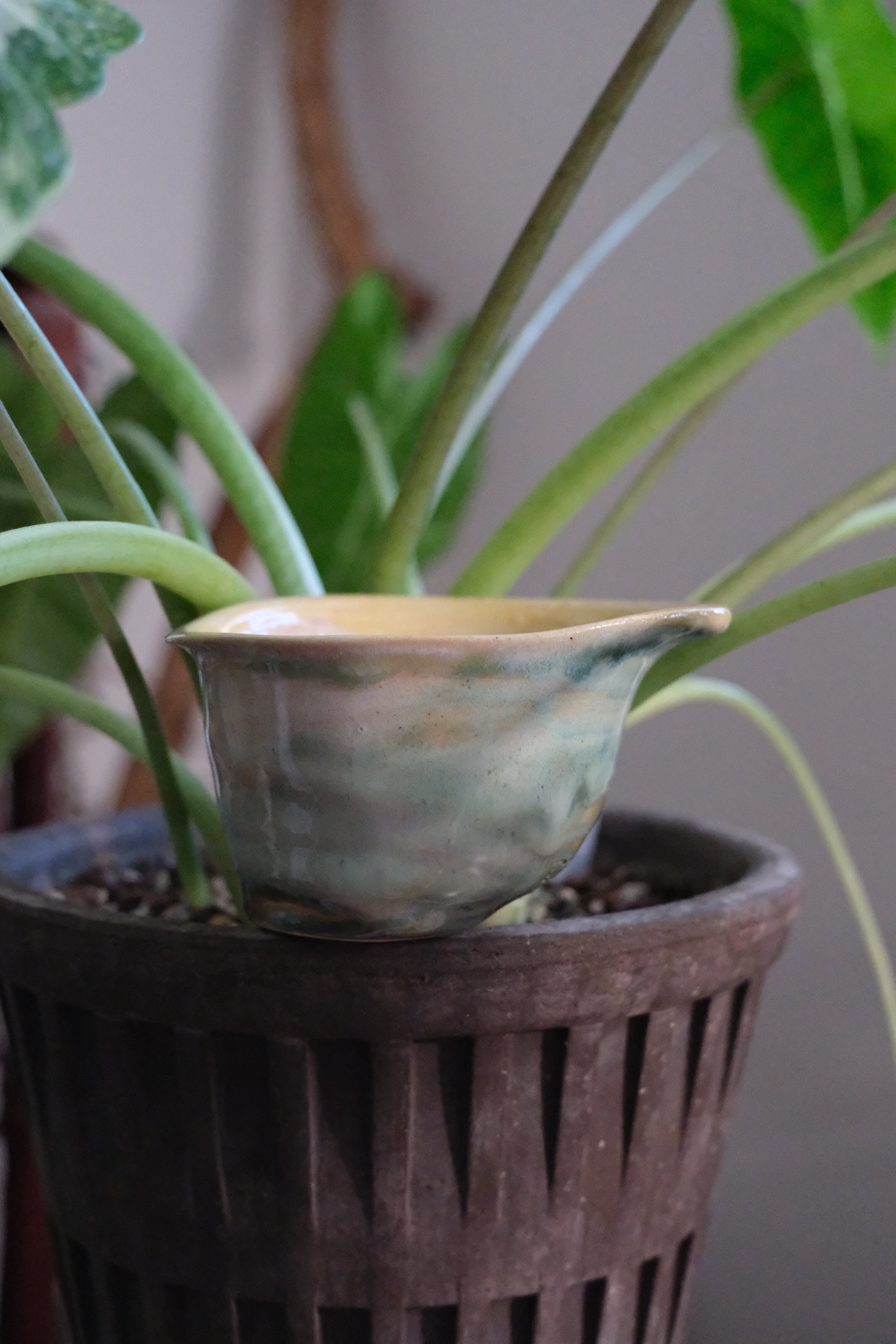 Container called “ miss calla lily “