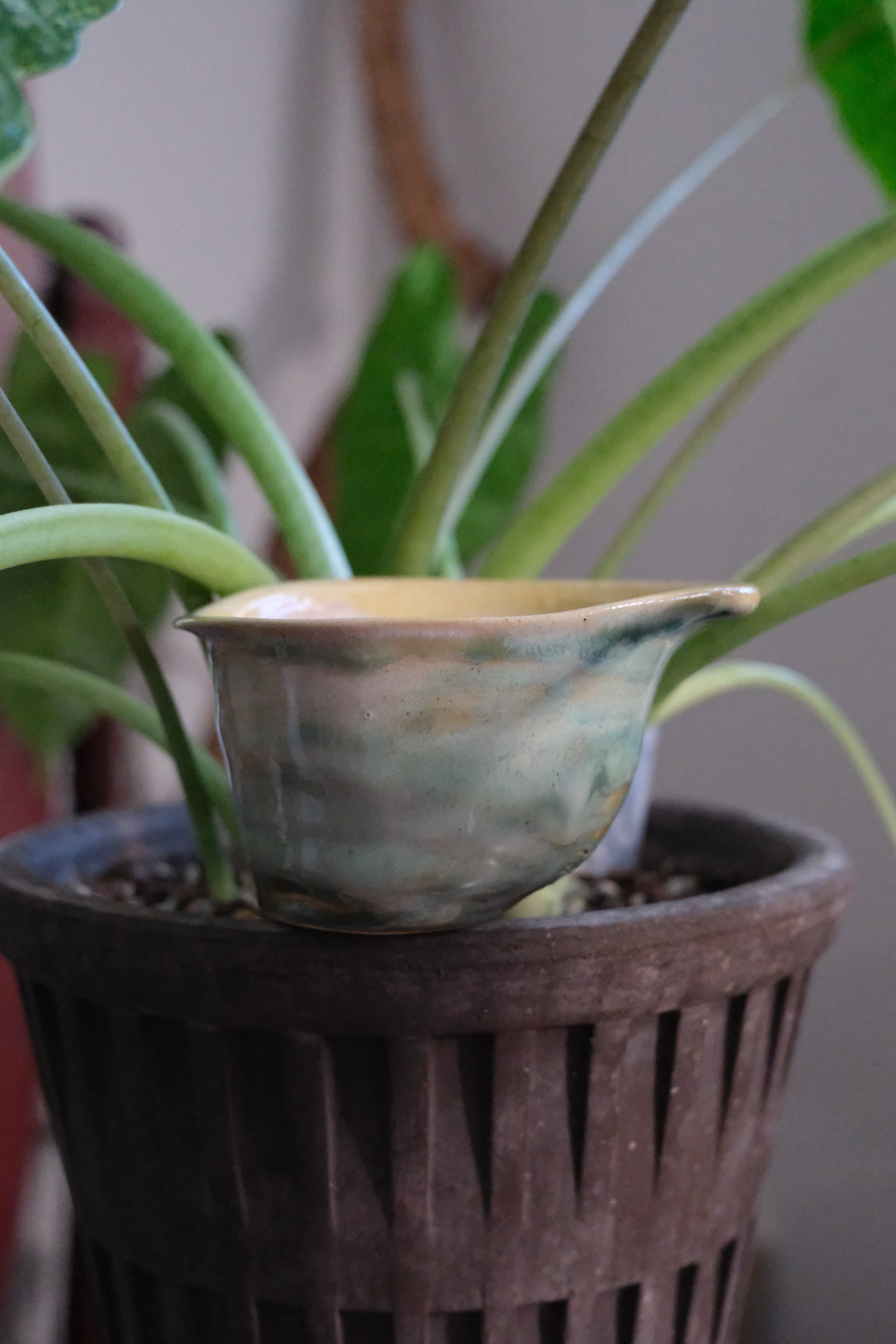 Container called “ miss calla lily “