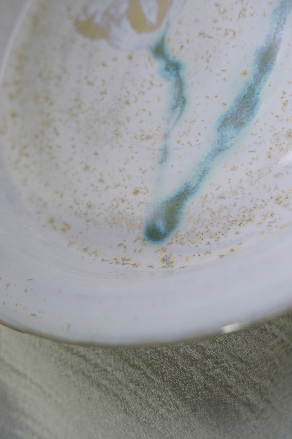 Plate called “sparkly pollen”