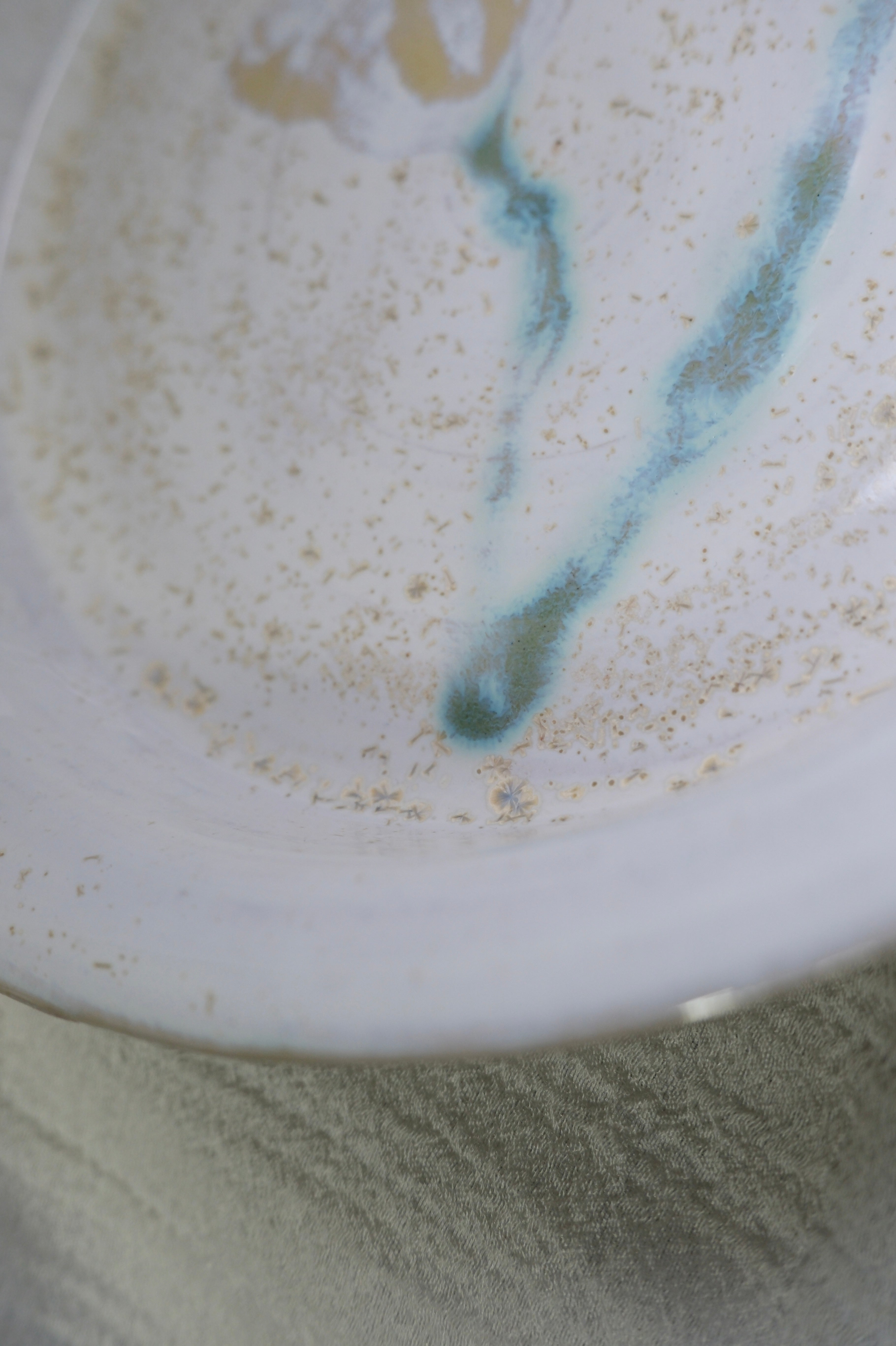 Plate called “sparkly pollen”
