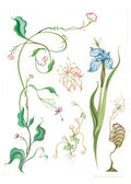 Flower fairy - Greeting card