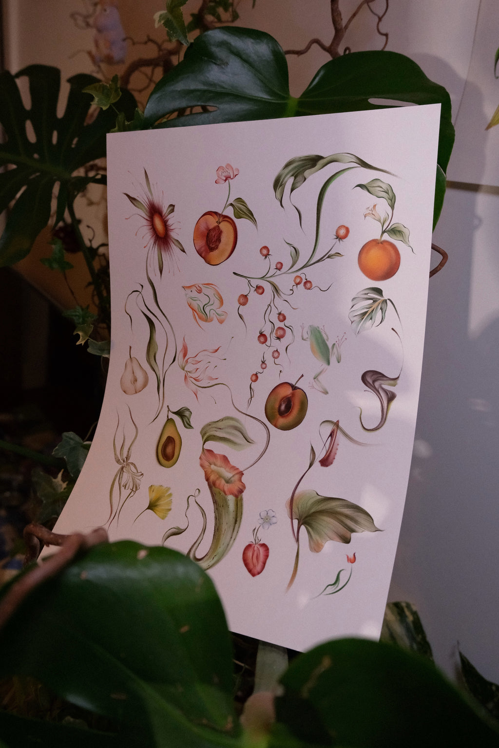 Fruit & flower party - A3